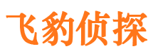 江安婚外情调查